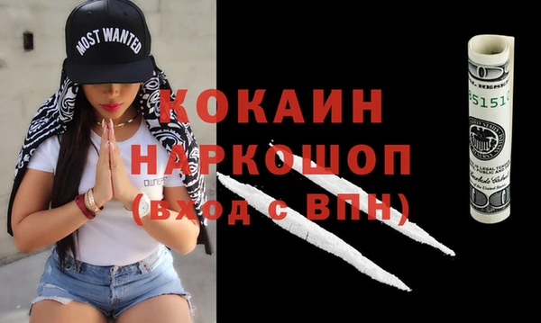 прущие грибы Богданович
