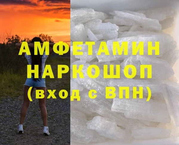 прущие грибы Богданович