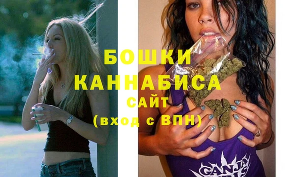 крисы Бронницы
