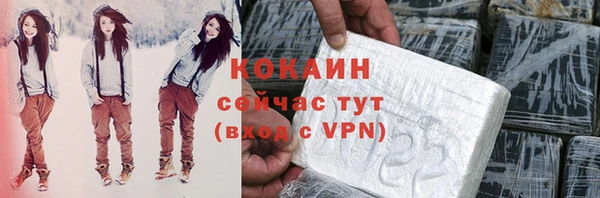 прущие грибы Богданович