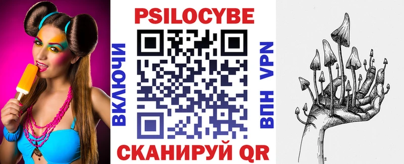 купить наркотик  Гаврилов-Ям  Псилоцибиновые грибы Psilocybe 